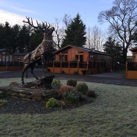 12 Burnside Lodge Auchterarder Exterior photo